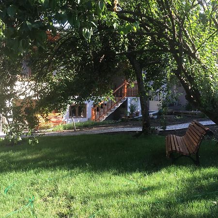 Guest House Kartuli Suli Telavi Luaran gambar