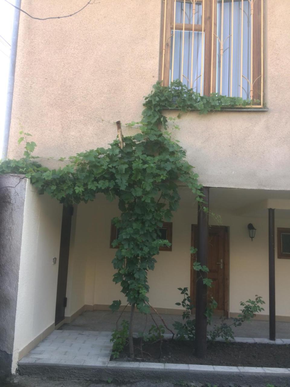 Guest House Kartuli Suli Telavi Luaran gambar
